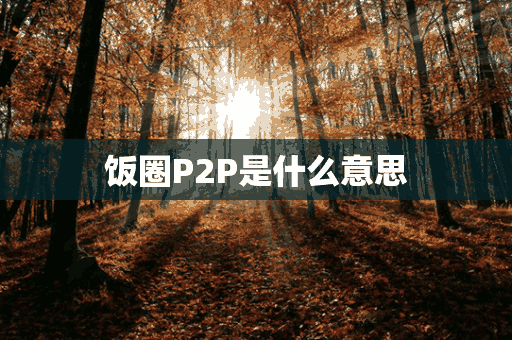 饭圈P2P是什么意思